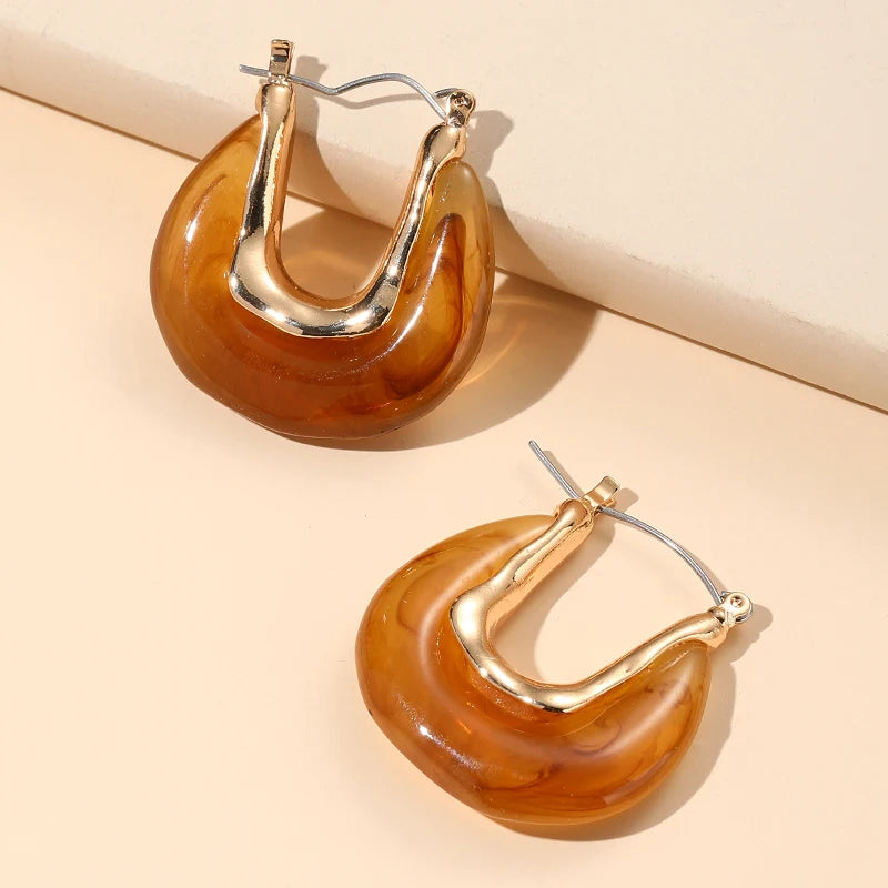 Trendy Metal Hoop Earrings